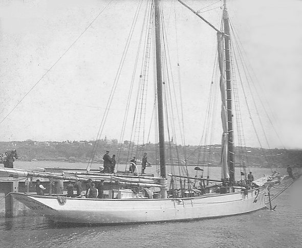 Goélette-pilote Vigie -No. 2.jpg