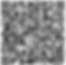 Grande View Truist QR Code.png