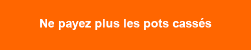 ING_TX_Banner_500x100px-EXE.gif
