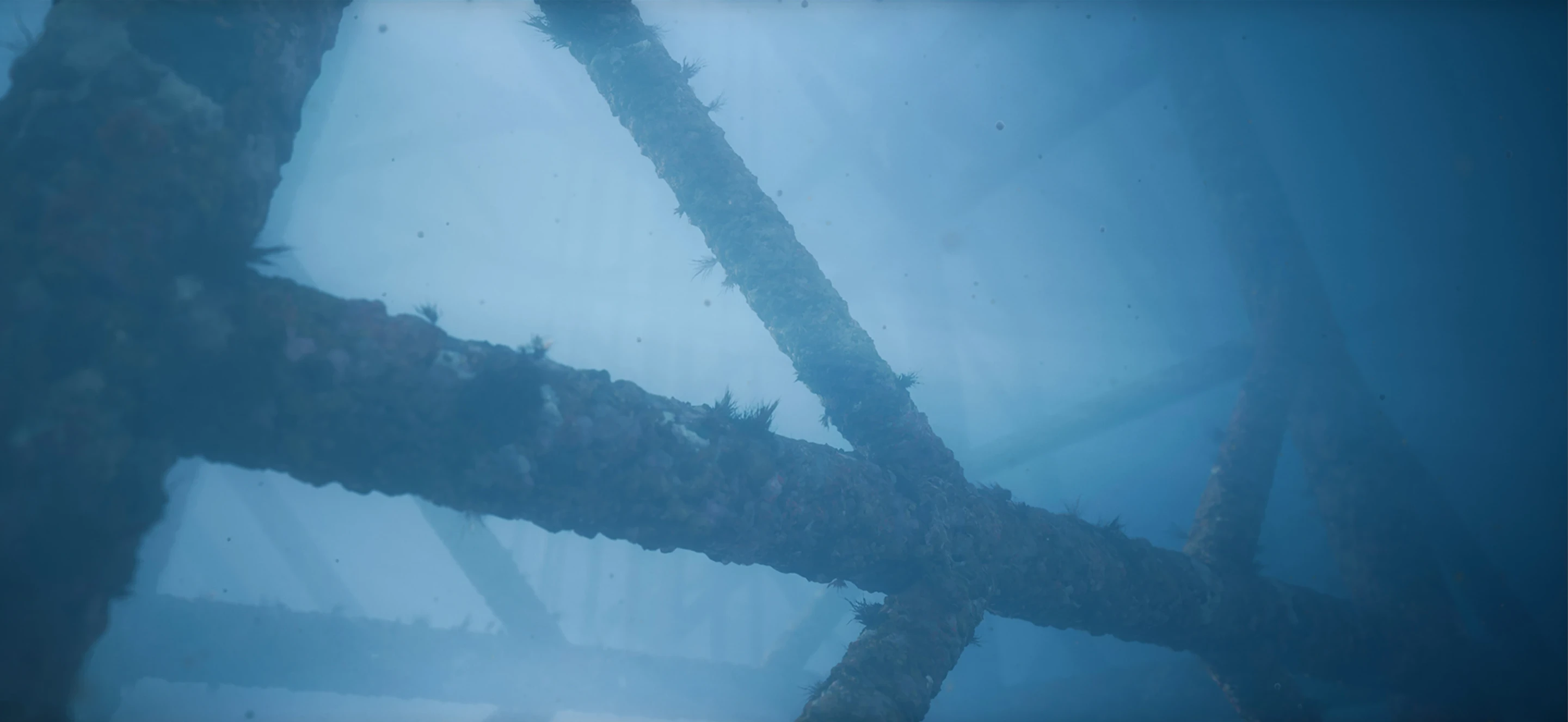 Immersive underwater 3d environment - showcasing detailed barnacles and oil rig game assets