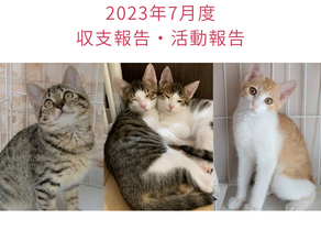 2023年7月活動報告・収支報告