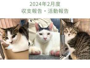 2024年2月活動報告・収支報告