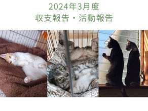 2024年3月活動報告・収支報告