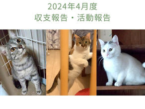 2024年4月活動報告・収支報告