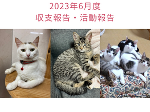 2023年6月活動報告・収支報告