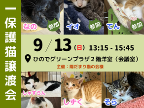 9月13日(日)譲渡会inひのでグリーンプラザ2階洋室(会議室)