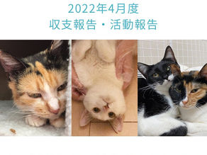 2022年4月活動報告・収支報告