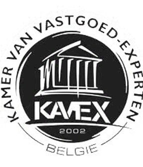 KAVEX LOGO.jpg