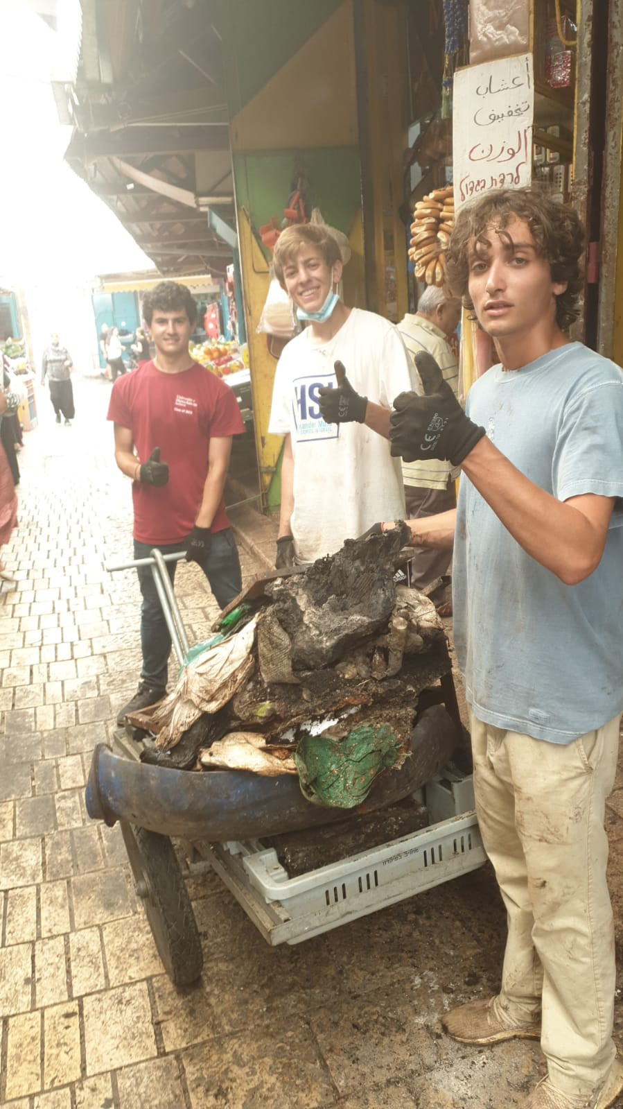 Gap Year in israel - JNF