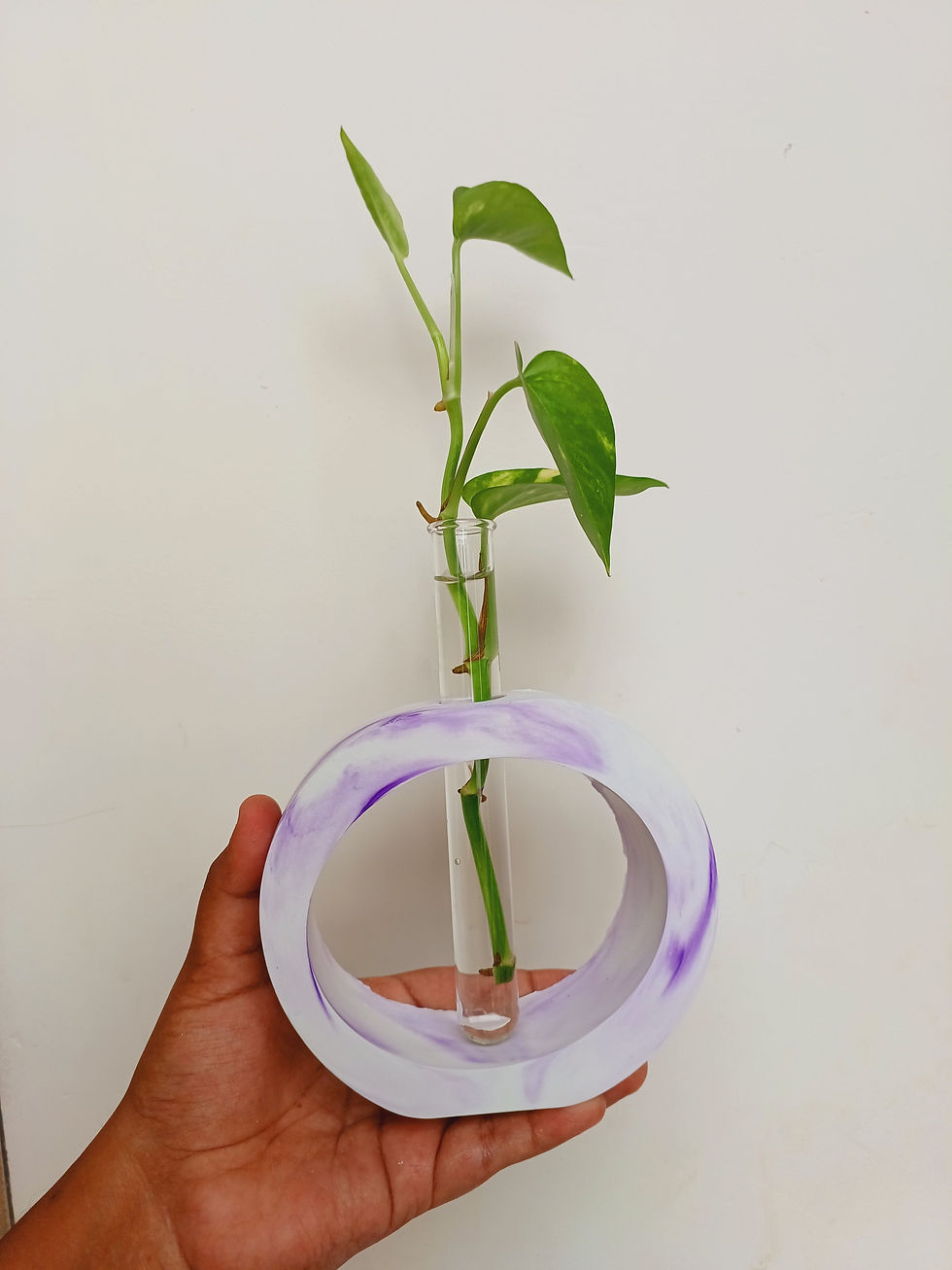 Thumbnail: Test Tube Planter