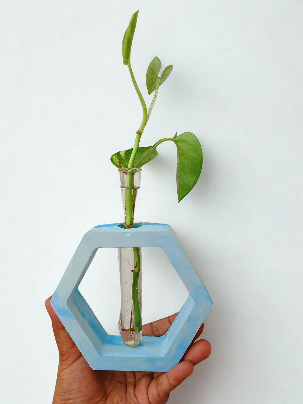 Thumbnail: Test Tube Planter