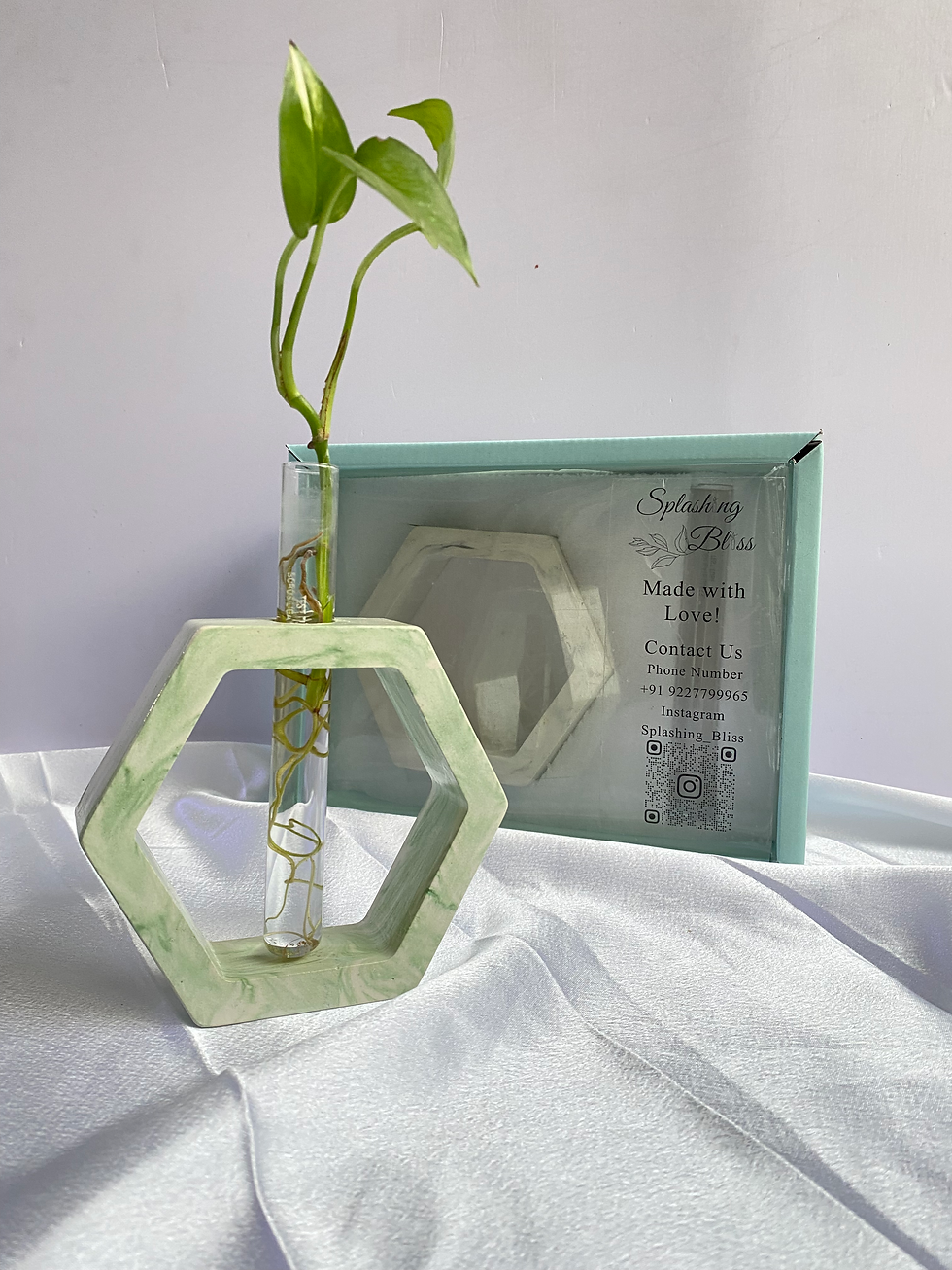 Thumbnail: Test Tube Planter