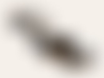 主が見せたかった景色