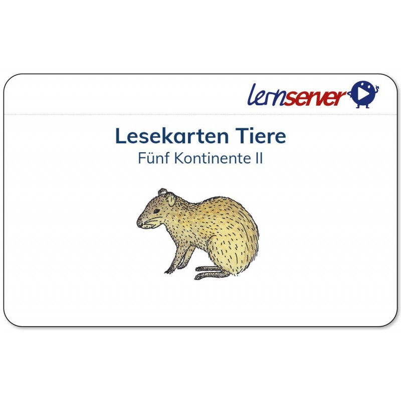 Miniaturbild: Lesekarten Tiere, pro Kartenset