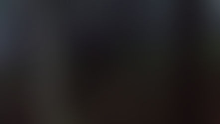 Old Fictions and Possible Worlds by Julio Pattio