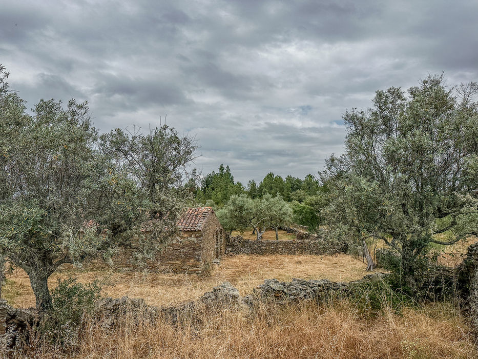 Traditional Portuguese stone village for restoration in Azinheira near Castelo Branco, rural tourism development property.