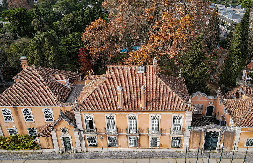 Aerial view of the Quinta de São Sebastião palace and garden in Paço do Lumiar, Lisbon