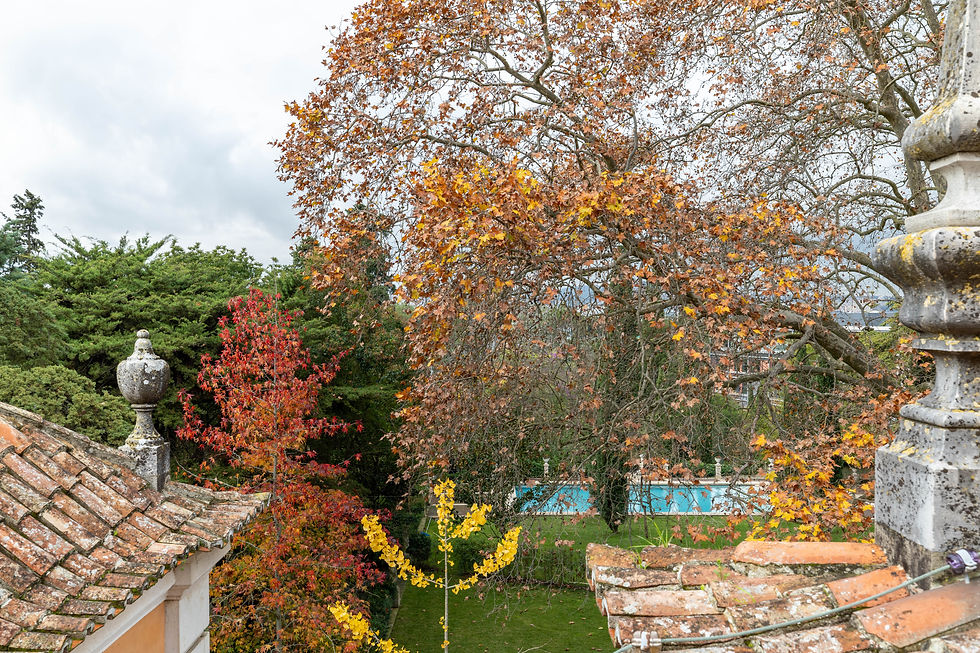 Autumn trees and garden urn at the Quinta de São Sebastião, Paço do Lumiar
