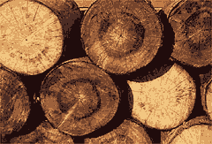 madera