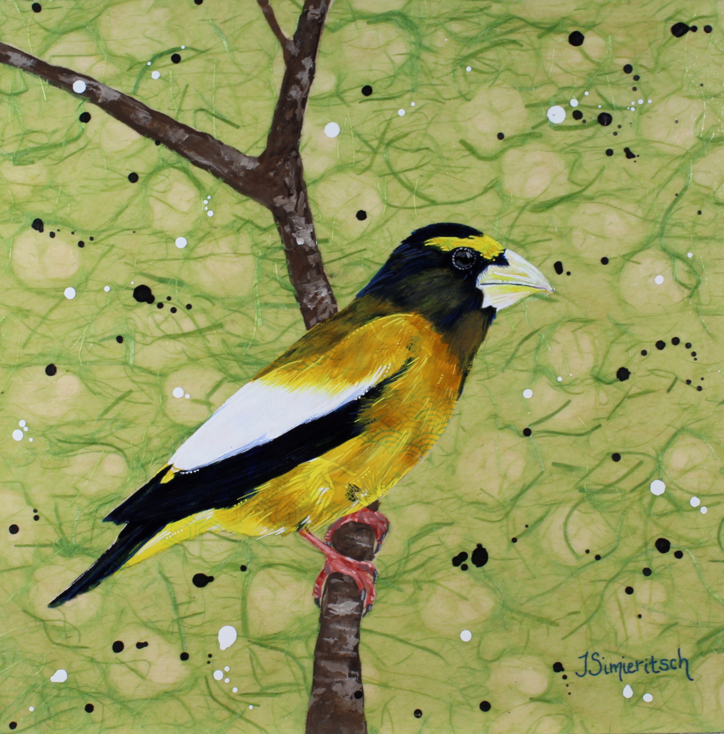 Grosbeak on Green