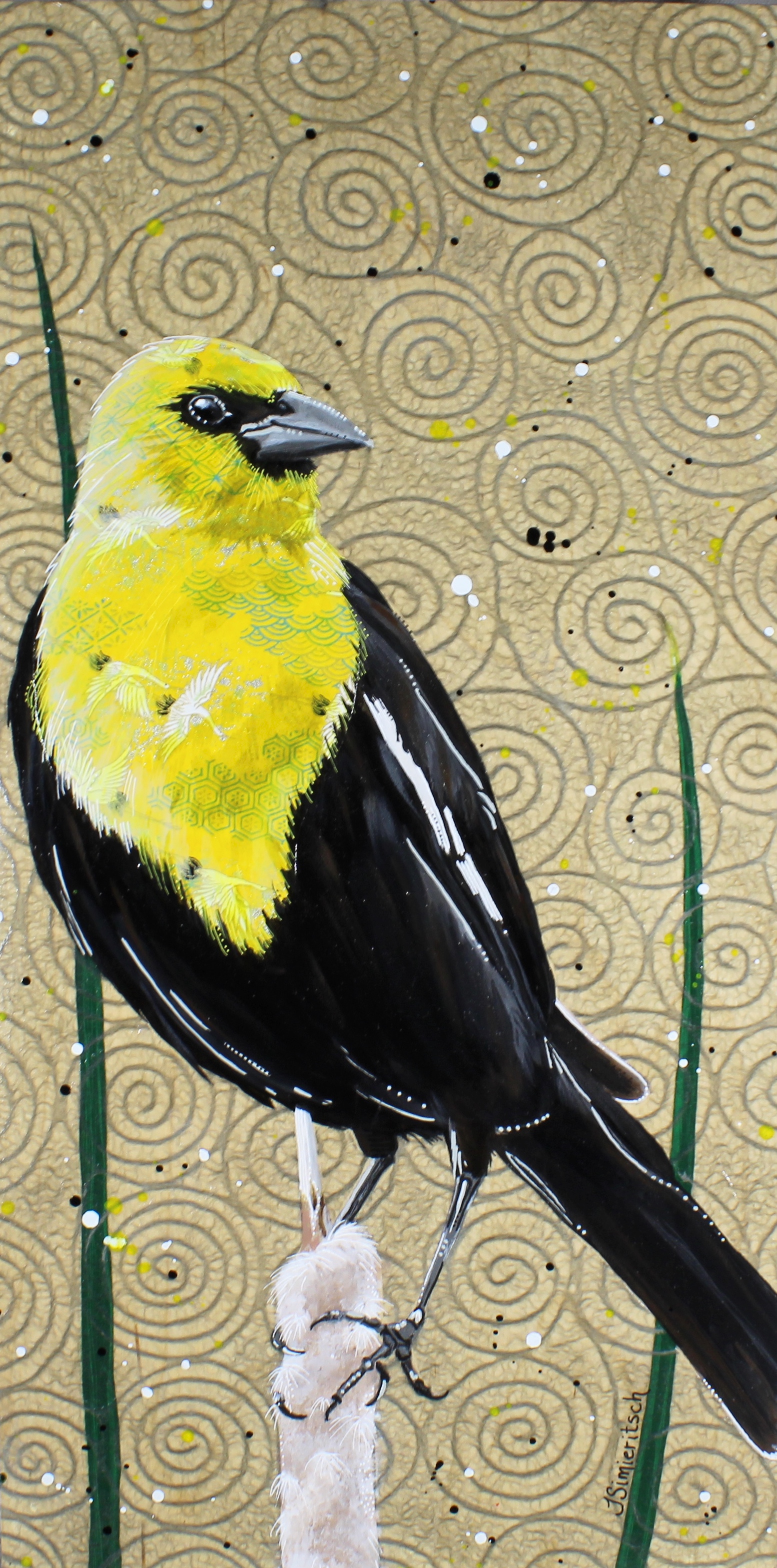 Balanced Yellow-headed Blackbird