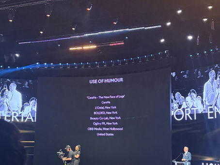 Inside the Lions: Awards