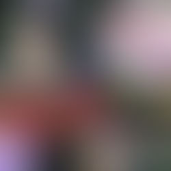 Bandoneon Fest acontece no dia 04 de agosto