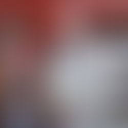 Livro "Pomerode: a cidade mais alemã do Brasil" celebra os 200 anos da imigração alemã