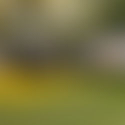 Prefeitos alemães visitam Timbó em agenda de cooperação internacional