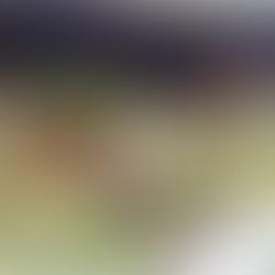 Inscrições para o 18º Concurso de Jardins começam em agosto