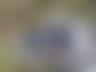 Utilização de drones revelam indícios que helicóptero tenha colidido contra a rede de alta tensão antes da queda em Pomerode