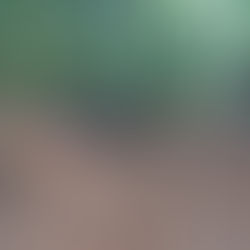 Feminina fica ferida em treino de downhill no Morro da Turquia