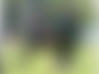 Floresta avança na Copa Interligas 2026 com vitória Convincente