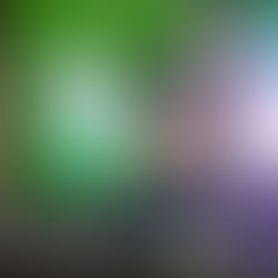 Pomerode conquista medalha de prata no Karatê fase Estadual dos JESC 12 a 14 anos