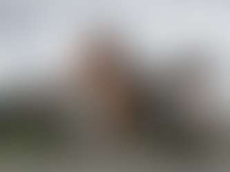 Câmara de Vereadores de Pomerode aprova lei que proíbe distribuição de panfletos em vias públicas