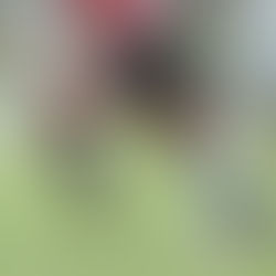 Copa Pomerode começa neste domingo, dia 4