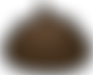 Poop. We All Do It. Some Less Than Others.