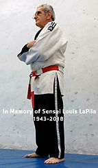 sensei1.jpg