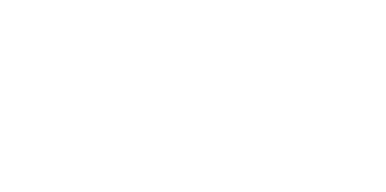 Small World Consulting