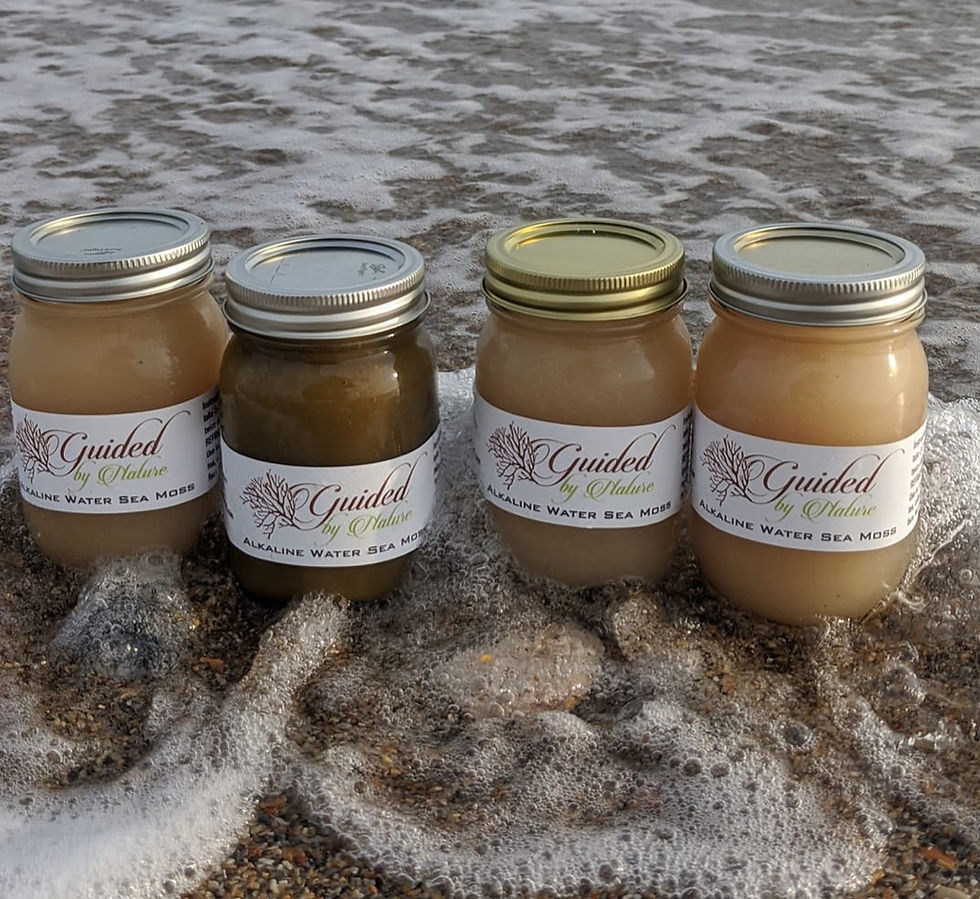 Thumbnail: Guided By Nature Sea Moss Gel 16 oz.