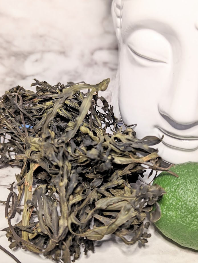 Thumbnail: Bladderwrack