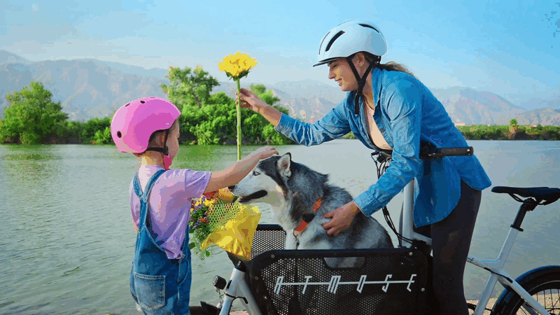 Cargobike.gif