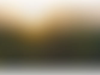 “Texas was never theirs”