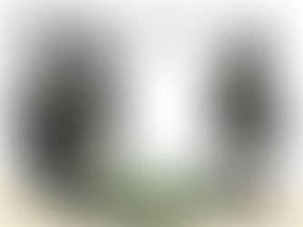 DOJ “streamlines” appeal process for immigrants