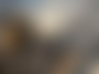 Turn up the heat on Cornyn & Cruz to block DHS funding this week!