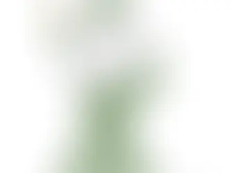 Kushner’s conflict of interest largely ignored by major media