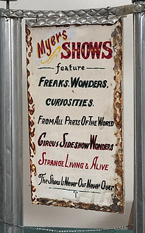 AMUSE Meyers Banner #6.jpg