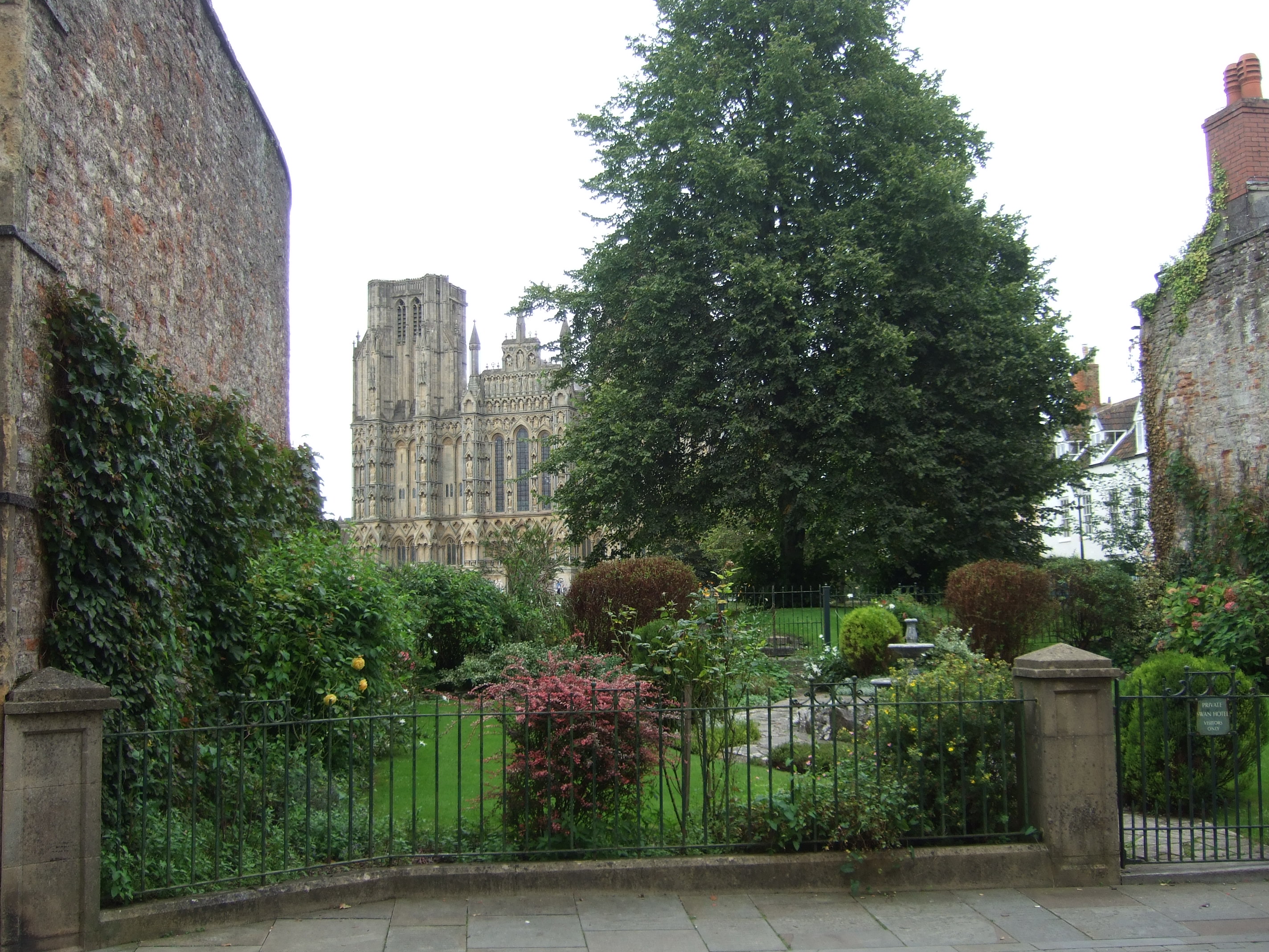 Wells (5)