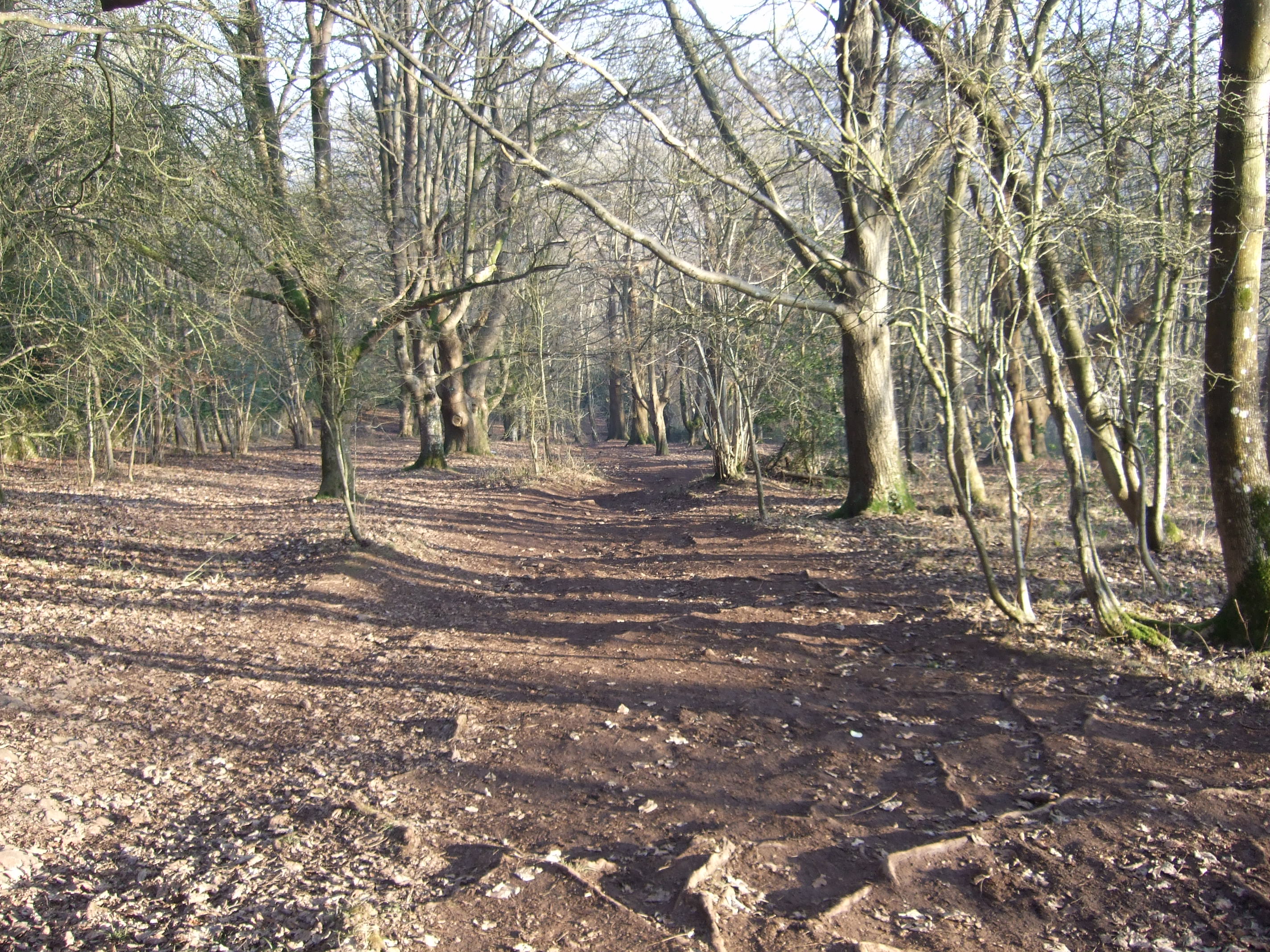 mendip walks (2)