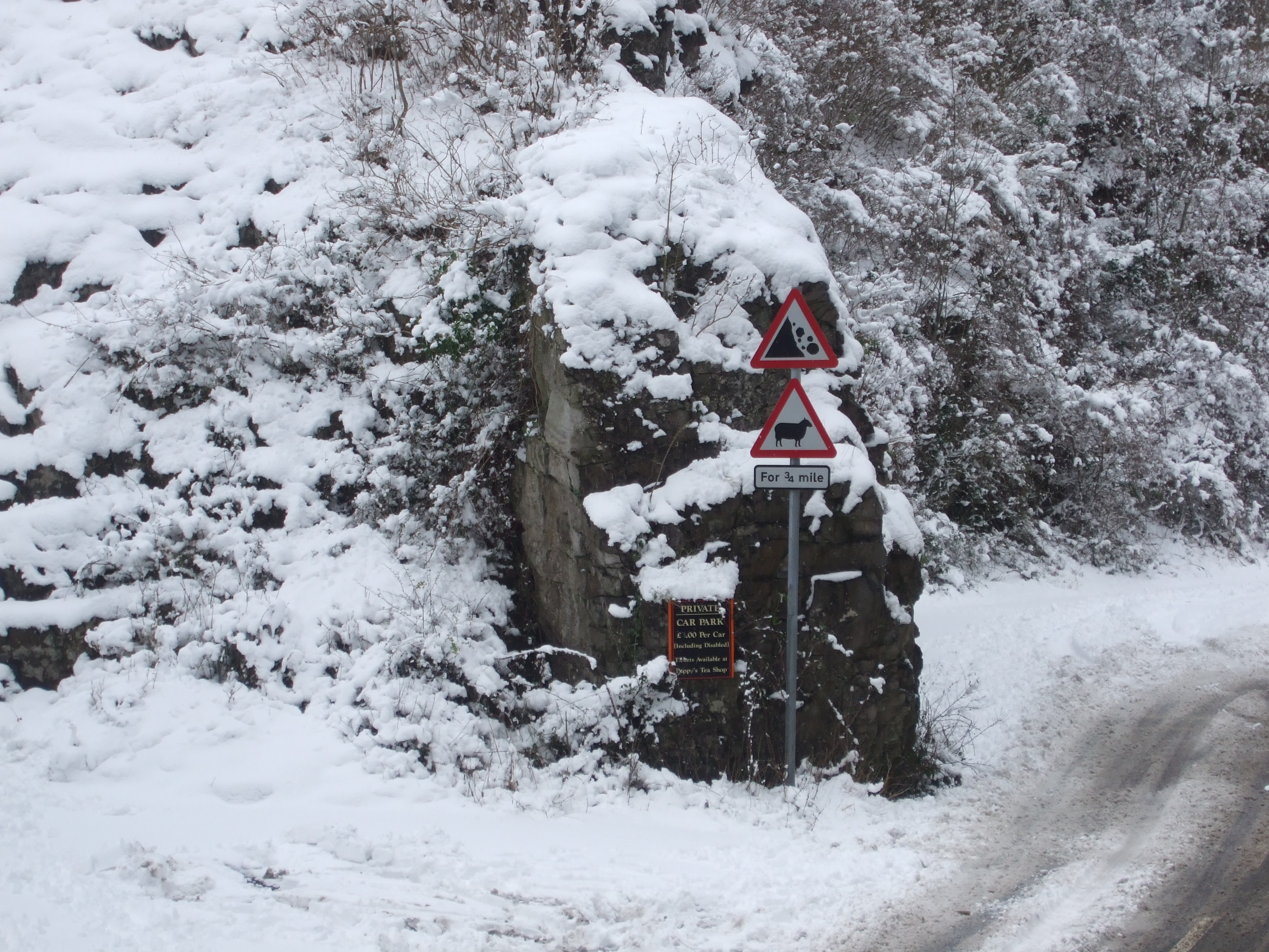 Cheddar Gorge (20)